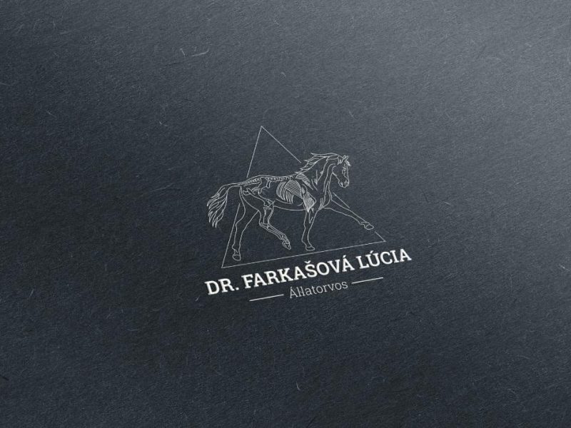 állatorvos vállalkozás számára készült arculattervezés grafika látványterve logóval